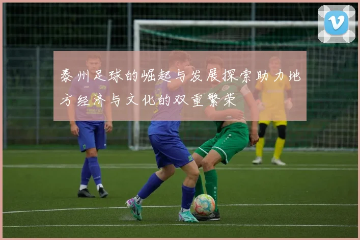 泰州足球的崛起与发展探索助力地方经济与文化的双重繁荣