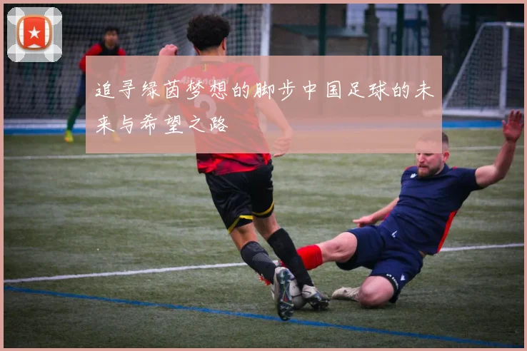 追寻绿茵梦想的脚步中国足球的未来与希望之路