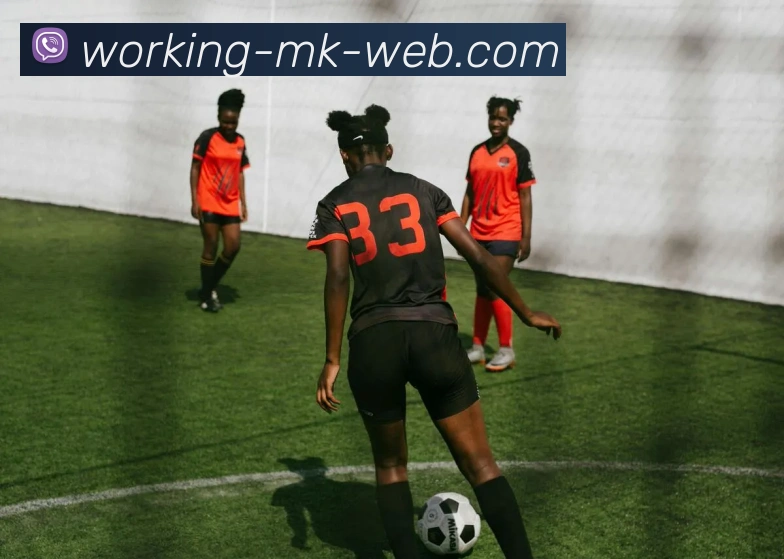 mksport集团平台生态图